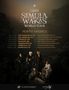 SAW WT - NORTH AMERICA SAW WT - NORTH AMERICA